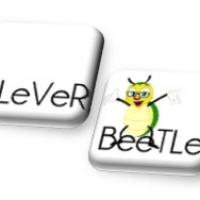 CLeVeRBeeTLe Photo